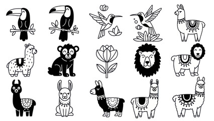 Fototapeta premium Black and white animal illustrations toucans hummingbirds llamas lion and more