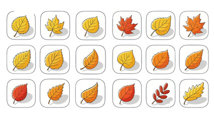 Autumn leaves collection vector illustration isolated on white background
