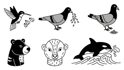 Black and white animal illustrations of hummingbird pigeons bear and orca © Hai