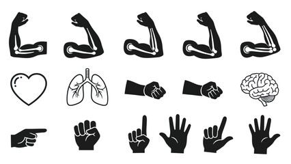 Anatomy icons set of body parts and organs for educational use