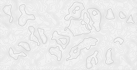 Seamless topography line art background, modern abstract landform curves, precise black vector lines, clean graphic design