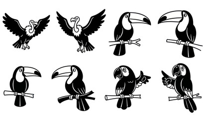 Black and white birds collection vector illustration for design elements