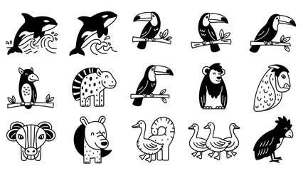 Black and white animal illustrations orca toucan penguin zebra monkey and more