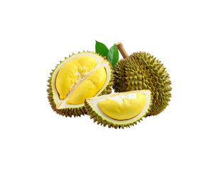 Fresh green and yellow tropical durian fruit with thorns isolated on white background