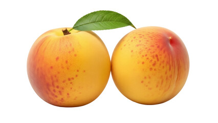 Isolated two peaches on a plain backdrop, ripe and ready to eat, with a single leaf, summer fruit