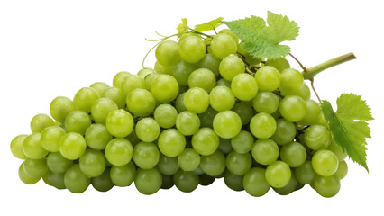 Isolated close-up of green grapes, a healthy fruit bunch for commercial use