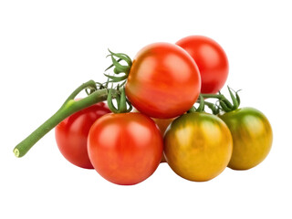 Isolated tomatoes on the vine, fresh, healthy, raw vegetable food for a delicious diet