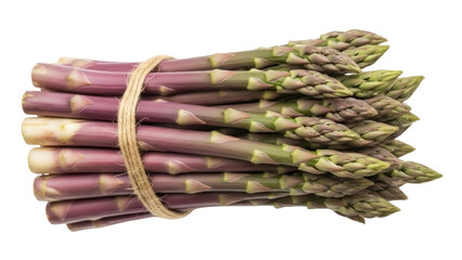 Isolated asparagus bundle, fresh seasonal spears, bunch of garden vegetables, green produce