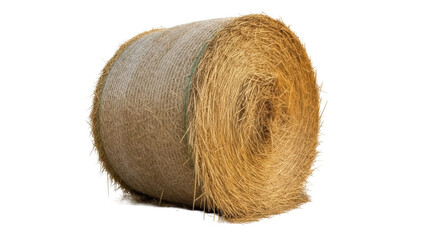 Isolated round bale of hay, hay bale, animal bedding, straw fodder, cattle feed for farm animals