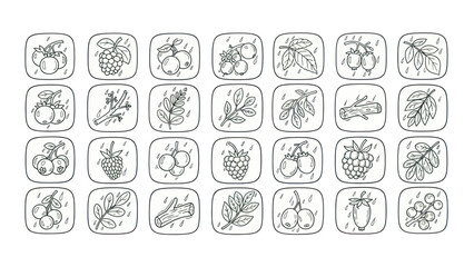 Black and white vector illustration of various fruit and leaf icons © Yyrwe