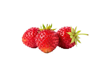 Isolated fruit still life of three ripe strawberries for healthy eating and enjoyment