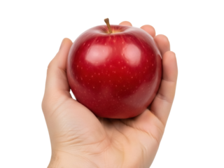 Isolated fresh shiny red apple in human hand for healthy food concept, clean eating