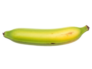 Isolated tropical plantain fruit in yellow green peel, popular cooking ingredient whole