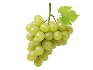 Isolated bunch of fresh green grapes with water drops and a leaf, healthy eating and snack