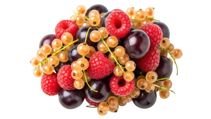 Isolated colorful berry mix, a healthy natural food blend of red raspberries and dark grapes