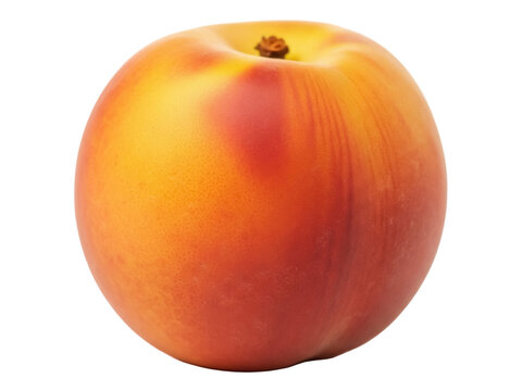 Isolated Fuzzy Peach Fruit Food, Single Whole with Fuzzy Skin, Fresh, Raw, Uncut, and Delicious