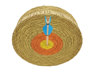 Isolated target with arrow in the center, archery sport aiming object, training tool, archery target