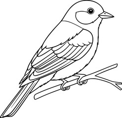 Fototapeta premium Simple outline drawing of a bird perched on a branch 