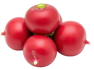 Isolated still life of red radishes, whole, fresh, round root vegetables in an overhead stack