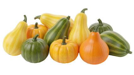 Isolated colorful gourd selection autumn harvest, thanksgiving decoration, seasonal vegetables