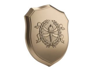 Isolated metallic shield with wreath, emblem, bronze trophy, laurel victory achievement