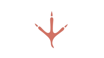 Isolated illustration of a bird's foot, showing three toes pointing forward in a simple style