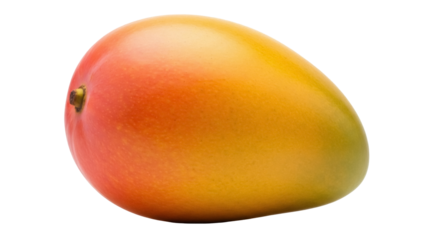Isolated ripe mango fruit with stem, smooth skin transitions from yellow to orange to red