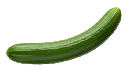 Isolated Cucumber on a Neutral Background a Fresh and Healthy Vegetable for Cooking