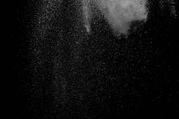 The falling white snow on a black background