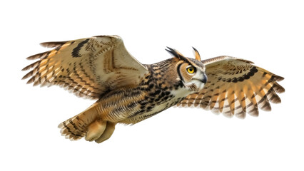 Isolated Great Horned Owl spreading its wings, brown and beige colored with sharp yellow eyes