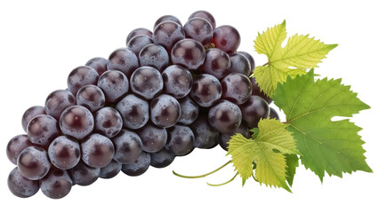 Fototapeta premium Isolated bunch of ripe dark grapes with fresh green leaves against a clean backdrop