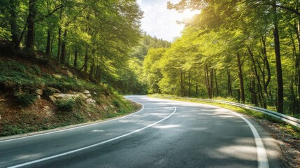 Fototapeta premium Empty winding road through a lush green forest with sunlight shining through the trees, symbolizing journey, travel and the beauty of nature