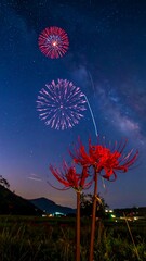 Field with red flowers at dusk, with exploding fireworks under a starry sky