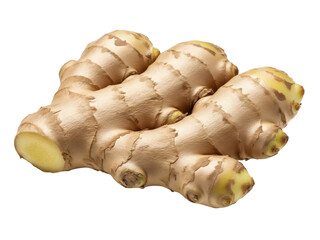 Isolated ginger root on a seamless backdrop is popular in herbal medicine and in Asian cuisine