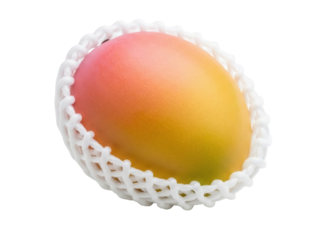 Isolated ripe Alphonso mango in protective foam netting for safe transportation or retail