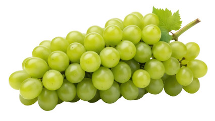 Isolated cluster of fresh green grapes, healthy snack or dessert, sweet and juicy fruit