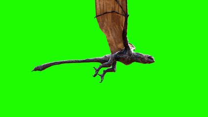 A Dragon Flying In The Air With Green Screen