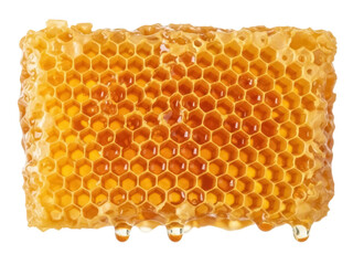 Isolated honeycomb dripping honey, natural healthy food, fresh harvested sweetness ready to eat