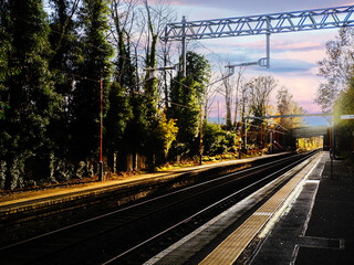 Fototapety na wymiar - Fototapeta24.pl