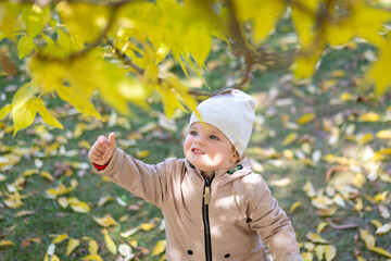 Portrait of happy little boy playing by himself in the park. Colorful fall outdoors