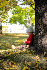 Portrait of happy little boy playing by himself in the park. Colorful fall outdoors