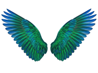 Isolated pair of vibrant bird wings with detailed feathers, blue and green angel wings