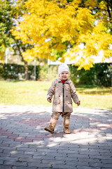 Portrait of happy little boy playing by himself in the park. Colorful fall outdoors