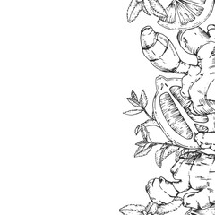 Ginger, mint and lemon vector frame. Hand-drawn ink background. Design elements for drink labels, menus, and recipes.