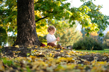 Portrait of happy little boy playing by himself in the park. Colorful fall outdoors
