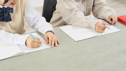 Two female students studying in a room