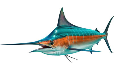 Isolated fish swordfish predatory marine animal, blue and orange stripes, long snout pointy mouth