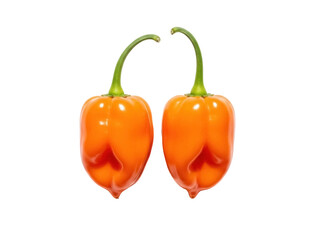 Isolated habanero peppers, orange chili vegetables with green stems, spicy ingredient for cooking