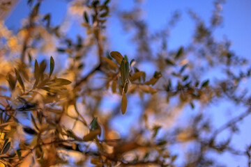 東京散歩　夜明け前の汐留湾岸地区