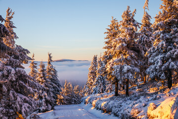 Winter in mountain forest during sunset. Golden hour in landscape with snow covered trees and fog in valley. Natural background